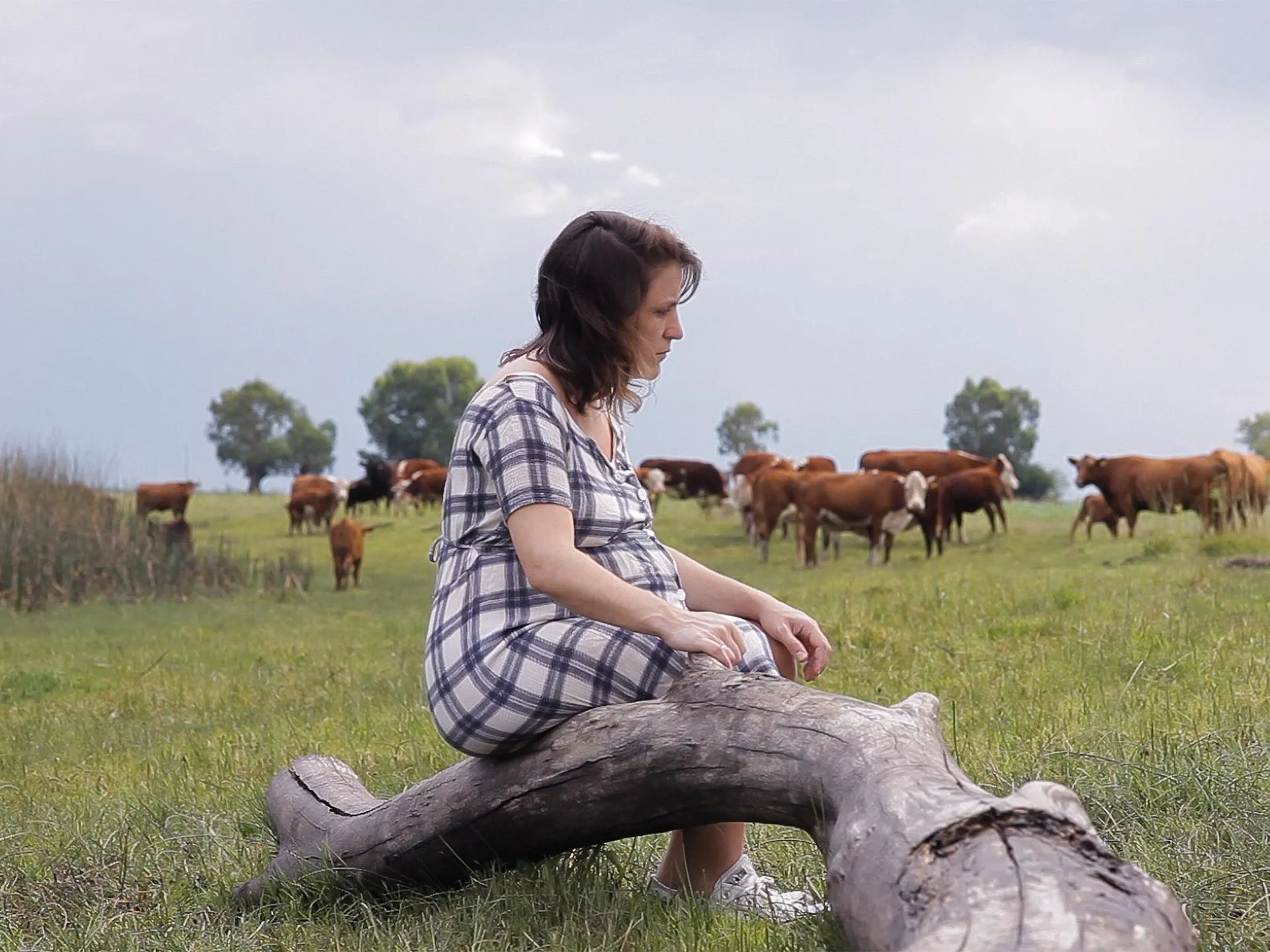 A Door That Opens from the Inside
