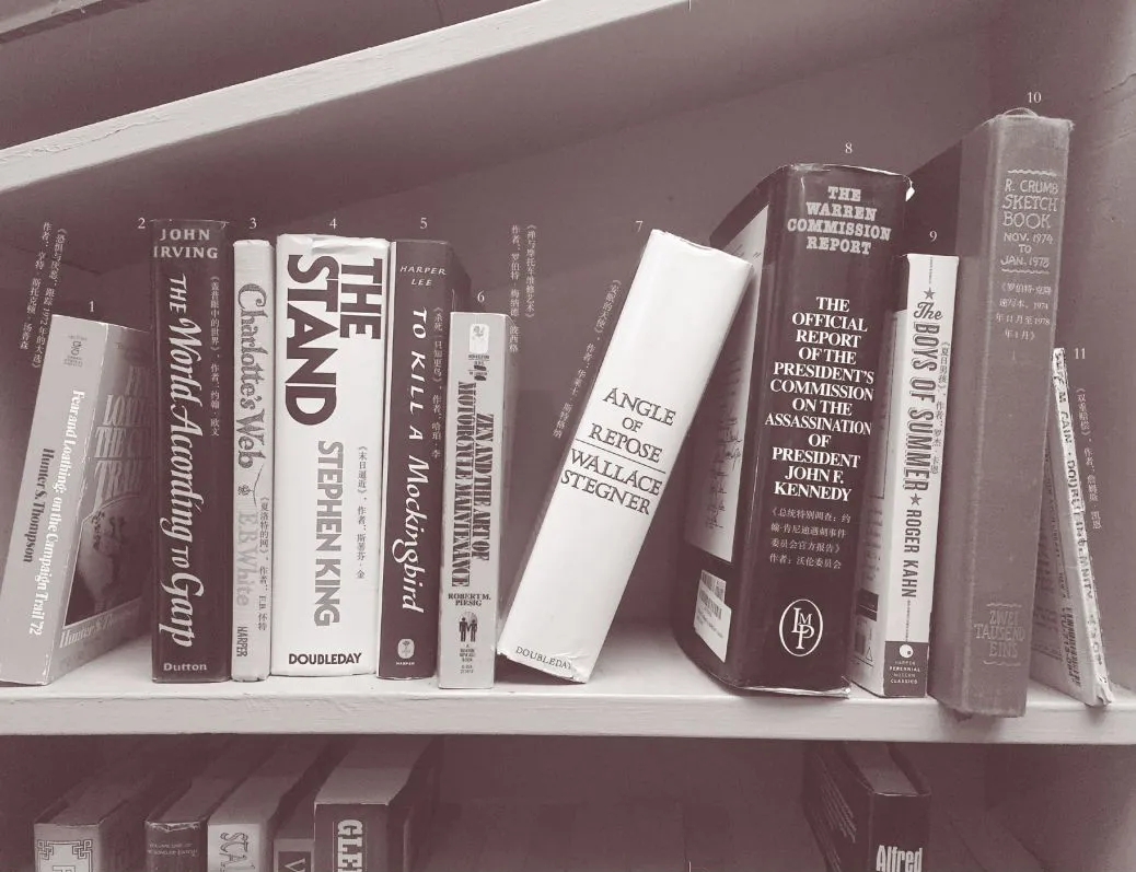 关于《双峰》的那些档案