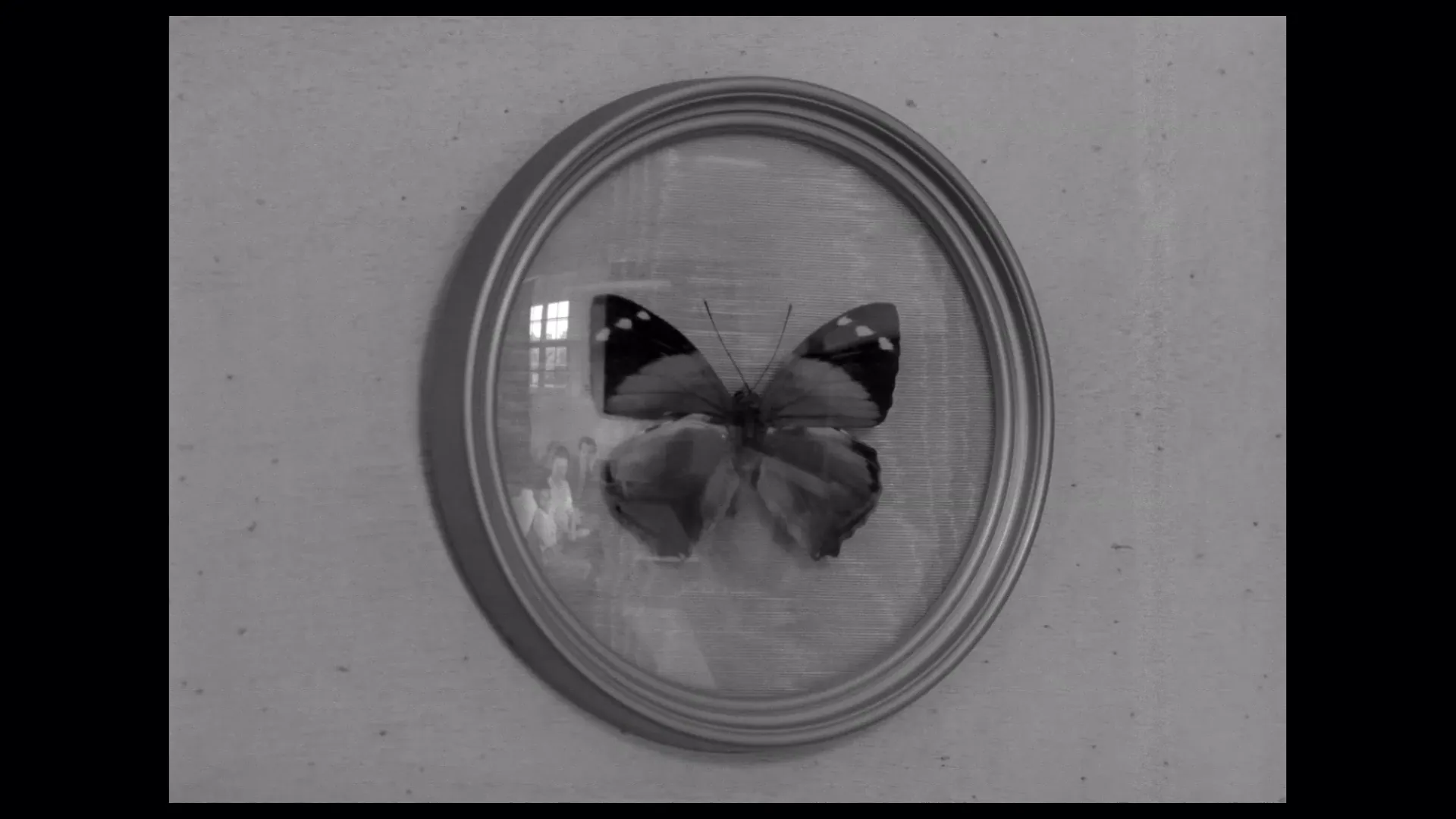 孩子们 + 老调重弹